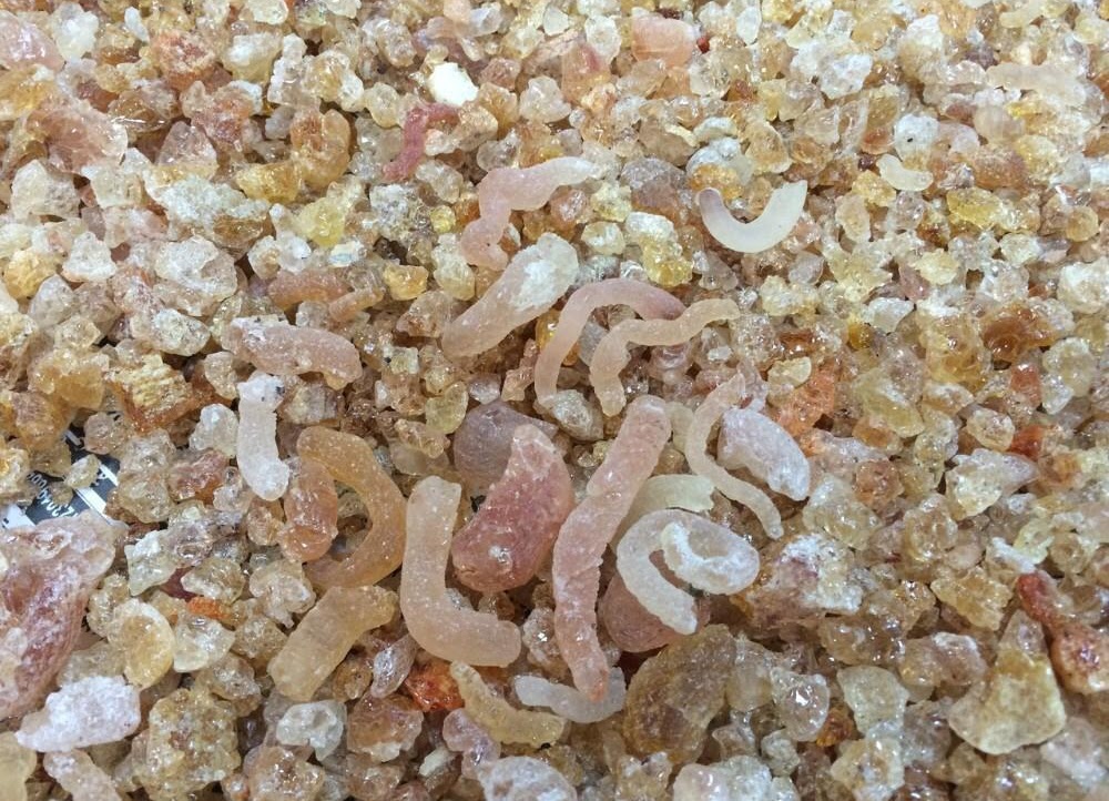 Gum Arabic