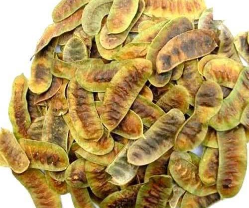 Senna Pods
